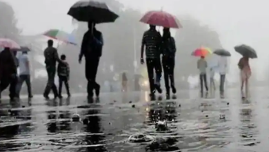 Photo of दिल्ली में मौसम ने ली करवट, इन राज्यों में बारिश और बर्फबारी, जानिए आपके शहर में कैसा रहेगा….