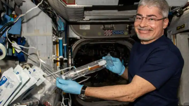 Photo of नासा के अंतरिक्ष यात्री ने अंतरिक्ष में 300 दिन किए पूरे, मार्च में इस तारीख को करेंगे लैंडिंग