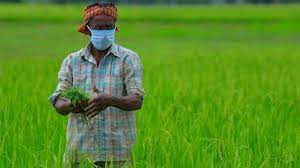 Photo of भारत में अति गरीबों की संख्या में तेजी से आई गिरावट, किसानों की आय में हुई बढ़ोतरी…