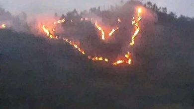 Photo of उत्तराखंड में गर्मी बढ़ने के साथ ही धधक उठी जंगलों की आग, पूरे इलाके में है धुंए का गुबार