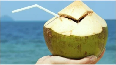 Photo of  गर्मियों में नारियल पानी के होते हैं बहुत सारे फायदे, पढ़े पूरी खबर