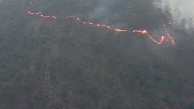 Photo of बागेश्वर जिले में लगातार बढ़ रही आग लगने की घटनाएं, हाई टेंशन लाइन से कई हेक्टेयर जंगल जले