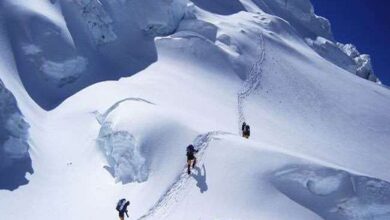 Photo of दुनिया के तीसरे सबसे ऊंचे पर्वत कंचनजंगा पर शिखर चढ़ाई करने के दौरान एक भारतीय पर्वतारोही की मौत….