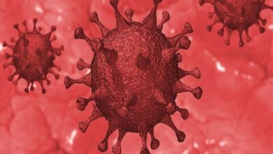 Photo of एएपी की नवीनतम रिपोर्ट के अनुसार अमेरिका में महामारी की शुरुआत के बाद से लगभग 1 करोड़ 30 लाख बच्चे कोविड-19 से हुए संक्रमित…