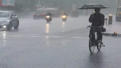 Photo of केरल में अगले 5 दिनों तक बारिश और आंधी-तूफान की जताई आशंका, जानिए- क्या है आपके शहर का हाल