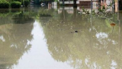 Photo of ब्राजील में भारी बारिश के बाद आई बाढ़ और भूस्खलन के वजह से 100 लोगों की मौत….
