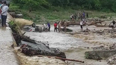 Photo of उत्तराखंड के रामनगर में उफनाई ढेला नदी में कार गिरने से इतने पर्यटकों की मौत