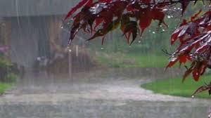 Photo of यूपी में 40 से अध‍िक ज‍िलों में तेज हवाओं के साथ भारी बार‍िश की चेतावनी