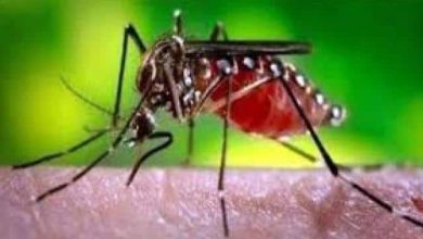 Photo of कानपुर में डेंगू की दस्‍तक, स्‍वास्‍थ्‍य और नगर निगम अलर्ट पर