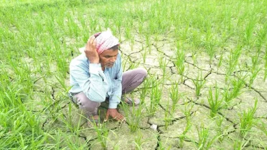 Photo of यूपी सीएम योगी आदित्यनाथ ने सूखे से प्रभावित किसानों की राहत के लिए लिया फैसला