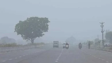 Photo of एक बार फिर शुरू होगा दिल्ली-एनसीआर समेत उत्तर भारत में सर्दी का सितम…