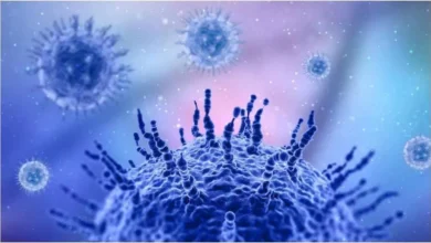 Photo of H3N2 वायरस ने उत्तराखंड में भी दी दस्तक, हल्द्वानी की लैब में दो मरीजों में हुई पुष्टि