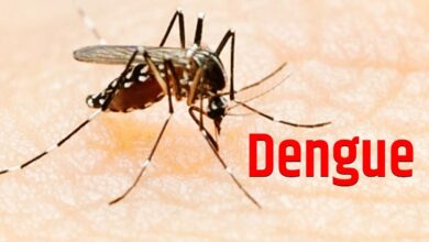 Photo of डेंगू से बचाव के लिए न तो कोई वैक्सीन है और न ही इलाज, इसलिए बचाव के लिए अपनाएं ये उपाय ..