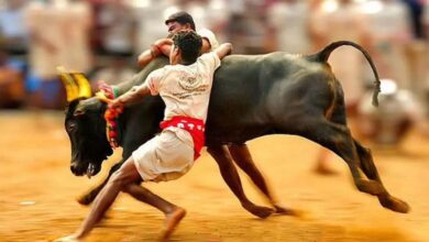 Photo of तमिलनाडु में जल्लीकट्टू खेल की परंपरा पर रोक लगाने से सुप्रीम कोर्ट ने किया इनकार