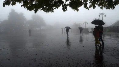 Photo of मौसम व‍िभाग ने पूर्वी यूपी के ज‍िलों में भीषण बार‍िश की चेतावनी की जारी, ब‍िजली ग‍िरने का भी अलर्ट जारी