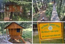 Photo of  हिमाचल का नया ‘सैरगाह’: भुलाह का बायोडायवर्सिटी पार्क बना पर्यटकों का पसंदीदा ठिकाना