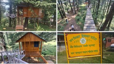 Photo of  हिमाचल का नया ‘सैरगाह’: भुलाह का बायोडायवर्सिटी पार्क बना पर्यटकों का पसंदीदा ठिकाना