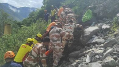 Photo of ऋषिकेश-बदरीनाथ हाईवे पर हादसा: टेंपो-ट्रेवलर नदी में गिरा, एक ही परिवार के 17 लोग थे सवार, दो की मौत