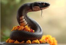 Photo of नाग पंचमी पर जरूर करें इस पावन कथा का पाठ
