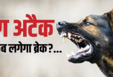 Photo of  कानपुर में लावारिस कुत्तों ने बीबीए छात्रा पर बोला हमला