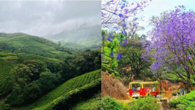 Photo of सितंबर में घूमने के लिए बेस्ट हैं साउथ इंडिया की ये 5 जगहें