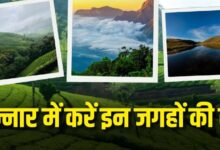 Photo of मानसून में घूमने के लिए बेस्ट है मुन्नार, इन 5 जगहों और एक्टिविटीज से बनाएं अपनी ट्रिप शानदार