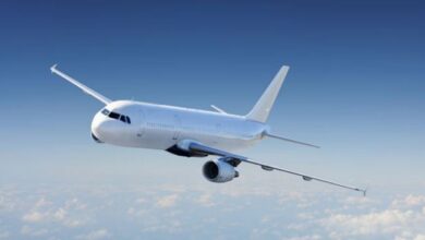 Photo of इंडिगो फ्लाइट का लैंडिंग से पहले दरका विंडशील्ड, एयर के विमान से टकराया पक्षी