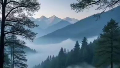 Photo of उत्तराखंड में दिन में चटक धूप तो रात में ठिठुरन भरी ठंड