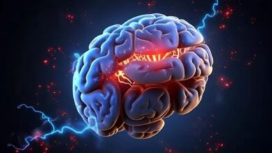 Photo of बोरिंग काम भी लगने लगता है मजेदार और मिलती है अच्छी नींद…