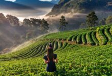 Photo of साल की पहली यात्रा बनेगी सबसे खास, ये 5 जगह दिल और भाग्य दोनों चमकाएंगी