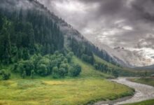 Photo of 11 दिसंबर को क्यों मनाते हैं अंतर्राष्ट्रीय पर्वत दिवस? जानें इतिहास और महत्व