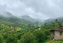 Photo of साउथ इंडिया के इस हिल स्टेशन को कहते हैं ‘केरल का कश्मीर’