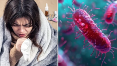 Photo of जानलेवा होता जा रहा है टायफाइड! एंटीबायोटिक दवाएं भी बेअसर