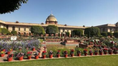 Photo of इस दिन से आम जनता के लिए खुलेगा राष्ट्रपति भवन का अमृत उद्यान, एंट्री रहेगी फ्री