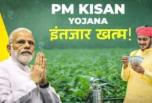 Photo of  पीएम किसान योजना: बजट वाले दिन किसानों को मिलेगा तोहफा या लगेगा झटका