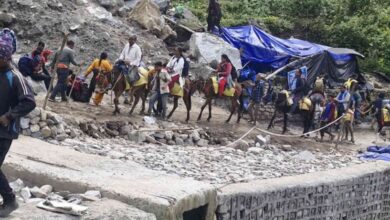 Photo of केदारनाथ यात्रा से पहले घोड़ा-खच्चरों का पंजीकरण शुरू