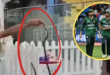 Photo of IND vs PAK: कोलंबो में महामुकाबले से पहले पाकिस्तान के डगआउट में निकला सांप