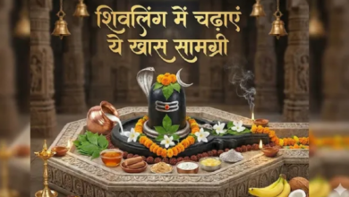 Photo of कामदा एकादशी पर शिवलिंग में चढ़ाएं ये चीजें