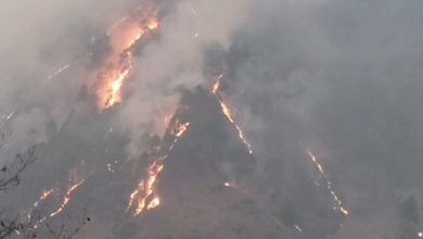 Photo of थराली के जंगलों में भीषण आग: 20 हेक्टेयर से अधिक क्षेत्र जलकर खाक