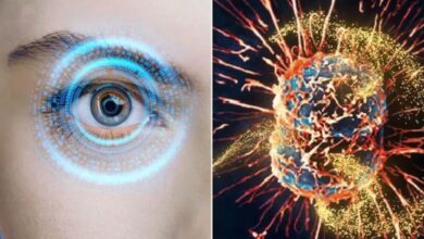 Photo of सिर्फ आंखों की रोशनी ही नहीं, जानलेवा कैंसर के खिलाफ भी ढाल बनेगा ये ‘खास’ न्यूट्रिएंट