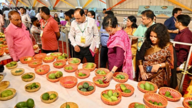 Photo of मैंगो फेस्टिवल का क्या है इतिहास? वजह जानिए