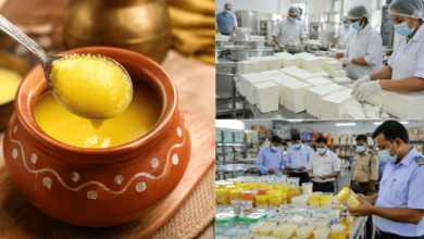 Photo of Ghee Ban : हरियाणा में घी पर बड़ा एक्शन, गैरमानक उत्पादों की बिक्री पर एक साल रोक