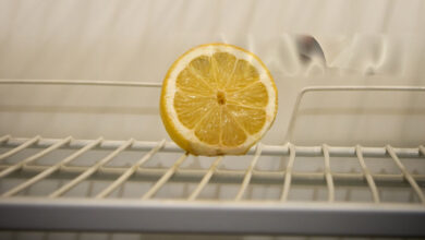 Photo of Half Lemon : आधा नींबू बच जाए तो ऐसे रखें ताजा, फ्रिज में लंबे समय तक खराब नहीं होगा