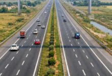 Photo of उत्तराखंड: एक्सप्रेसवे पर मिट्टी की कटान रोकेगा बांस