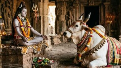 Photo of शिव जी के ठीक सामने ही क्यों विराजमान रहते हैं नंदी महाराज?