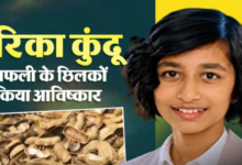 Photo of 13 साल की अरिका कुंडू का कमाल! मूंगफली के छिलकों से फलों-सब्जियों से हटाएंगी कीटनाशक, 3M Young Scientist Challenge में बनीं फाइनलिस्ट