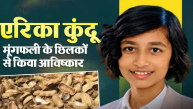 Photo of 13 साल की अरिका कुंडू का कमाल! मूंगफली के छिलकों से फलों-सब्जियों से हटाएंगी कीटनाशक, 3M Young Scientist Challenge में बनीं फाइनलिस्ट