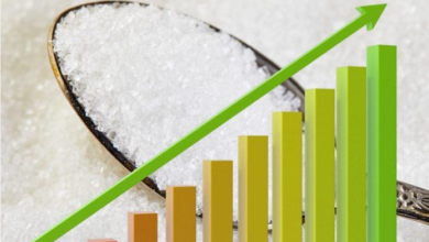 Photo of Sugar Stock Limit 2026: चीनी के स्टॉक पर सरकार की सख्ती, 15 दिन से ज्यादा माल नहीं रख सकेंगे बड़े खरीदार