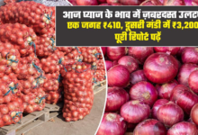 Photo of Onion Price Hike: देश की बड़ी मंडियों में प्याज के दाम 15% तक बढ़े, दिल्ली पहुंचेगी ‘कांदा एक्सप्रेस’