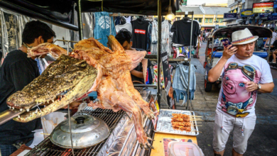 Photo of Crocodile Meat: चीन, थाईलैंड समेत इन देशों में खाया जाता है मगरमच्छ का मांस, सड़कों पर भी मिलते हैं स्टॉल